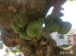 气焊、气割各主要发生什么变化？ - 知乎