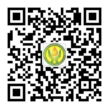 1740622905596062103.jpg